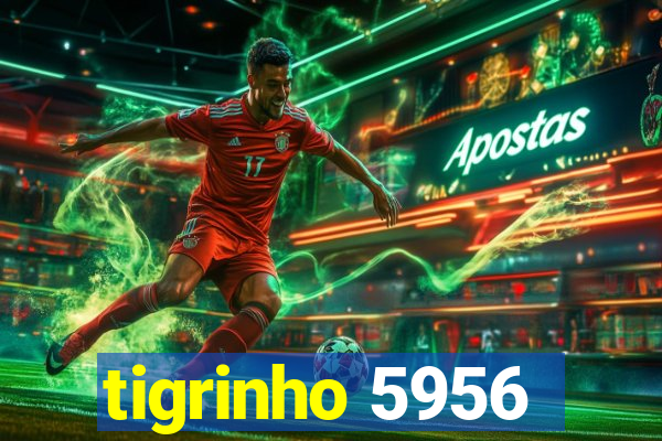 tigrinho 5956